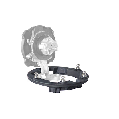 Pin System Kawasaki Anillo Shad