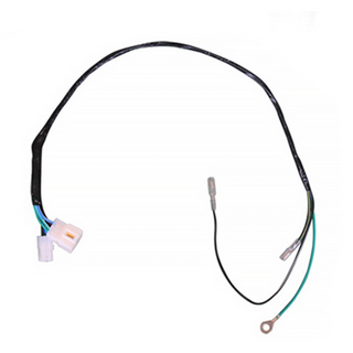 Cableado motor sin luz FDX Daytona Anima 150 / 190cc Pitbike
