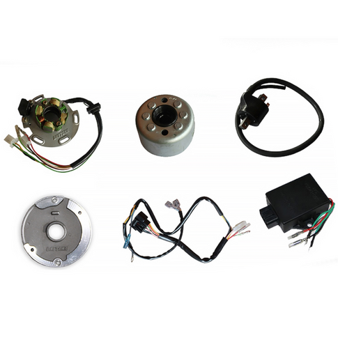 Encendido completo regulable Pitbike Daytona 150/190 87235
