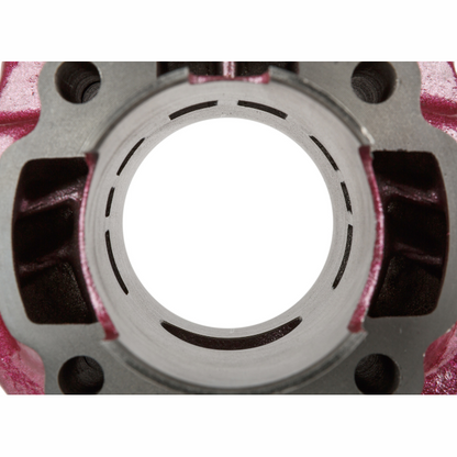 Cylindre Top Performance Rosa Due Plus 70cc Minarelli horizontal LC
