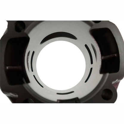 Cylindre Top Performance Rosa Due plus 74cc Minarelli AM6