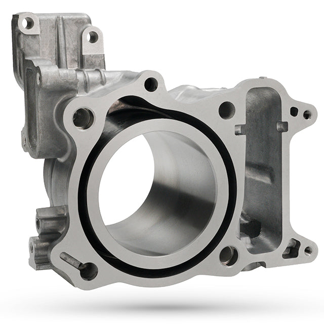 Cilindro Top Performance Honda SH 300cc 07-20