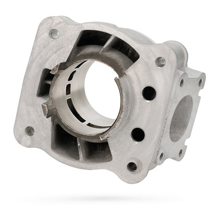 TPR Factory Cylinder Piaggio 100 2-Stroke