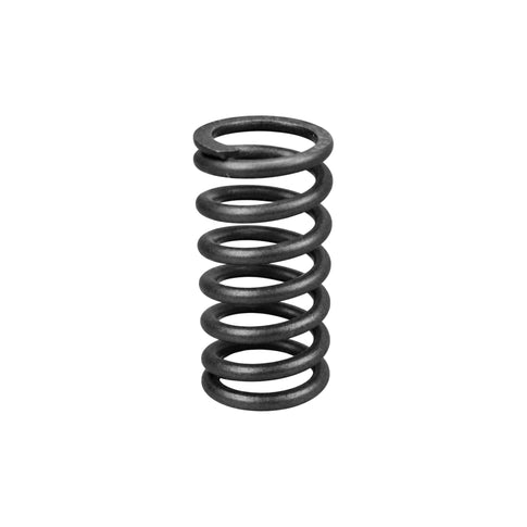 Muelle de embrague reforzado Minarelli AM6 AllPro AP25CL35.188.PRF