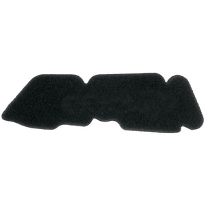 filtro de aire Piaggio Typhoon / NRG / ZIP 50 2T Allpro AP30AF30.140
