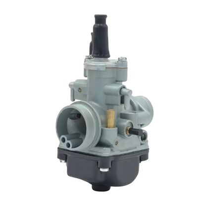 Carburador 19mm tipo PHBG starter cable AllPro