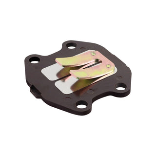 Yamaha PW 50 reed valve box AllPro 