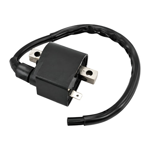 Bobina de alta Puch / Kreidler / Sachs / Zündapp Allpro AP50IC30.ZDP
