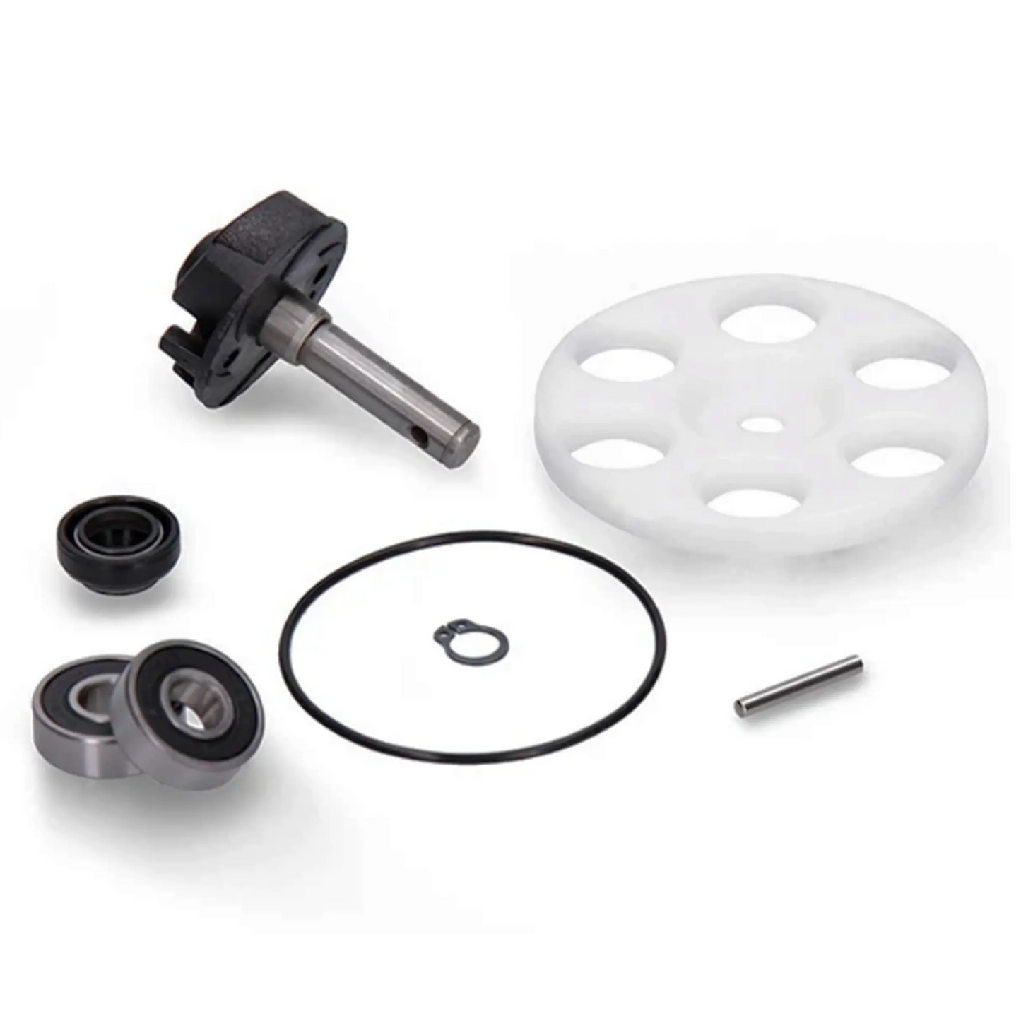 Kit reparación bomba de agua Minarelli horizontal AllPro AP70WP10.166