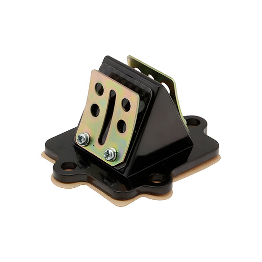 Barikit carbon reeds box Minarelli horizontal