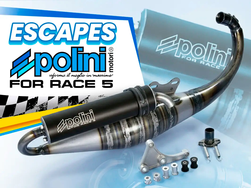 escape polini for race 5