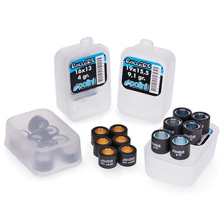Variator rollers 27.5x21.5 Polini