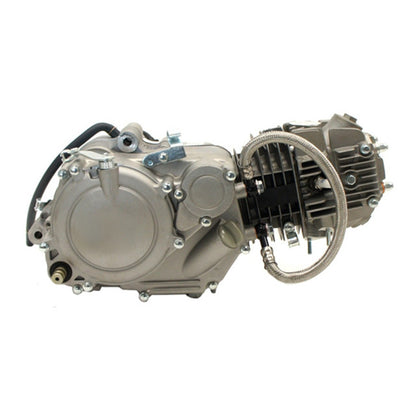 Z125 Engine Fiddy Zonghsen Pitbike AllPro