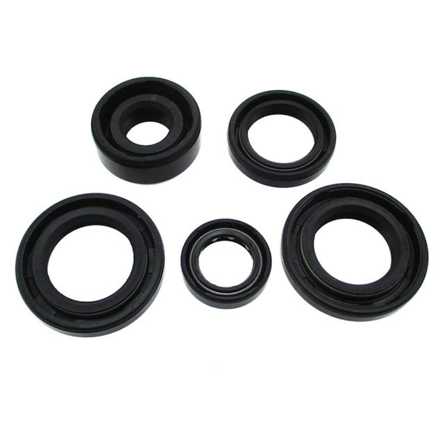 Kit retenes de motor YX140/YX150-3 Pitbike AllPro AP100PB20YX1503.SEK