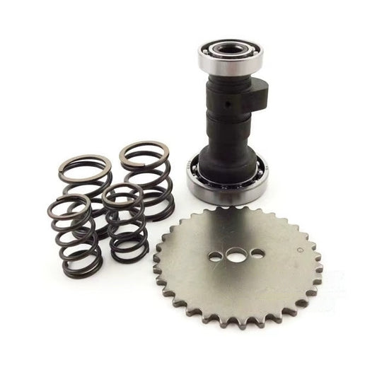 Kit árbol de levas ZCam motor ZS125F Pitbike AllPro AP100PB20ZS125F.CMS.R