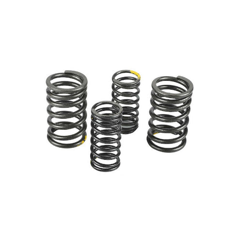 Muelles de valvula motor ZS190 Zongshen Pitbike AllPro AP100PB20ZS190.VLV.03