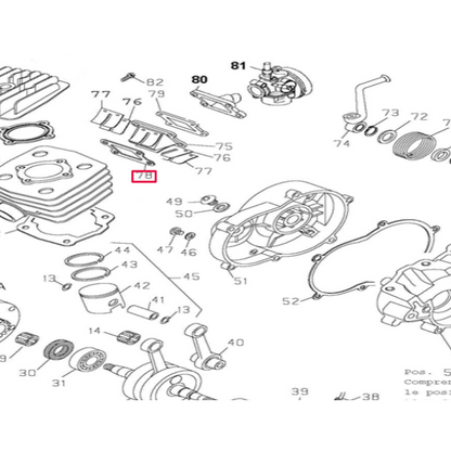 Junta caja de laminas Pitbike MX 50 AllPro