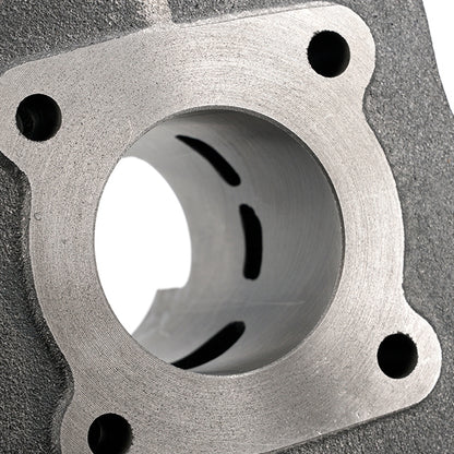 Cilindro AllPro 50cc Peugeot vertical AC