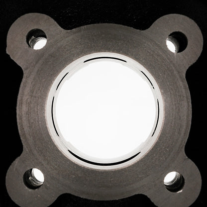 Cilindro AllPro 50cc Peugeot horizontal LC