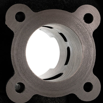 Cilindro AllPro 50cc Peugeot horizontal LC