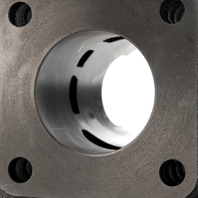 Cylindre AllPro 50cc Kymco Dink / People AC