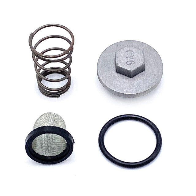 Tapón vaciado aceite de motor Honda / Kymco 50-125 motor GY6 4T AllPro AP20ED170