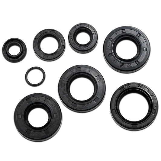 Seals Minarelli AM6 AllPro engine