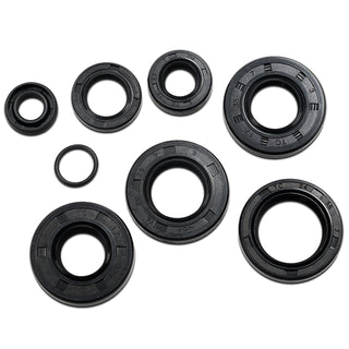 Seals Minarelli AM6 AllPro engine