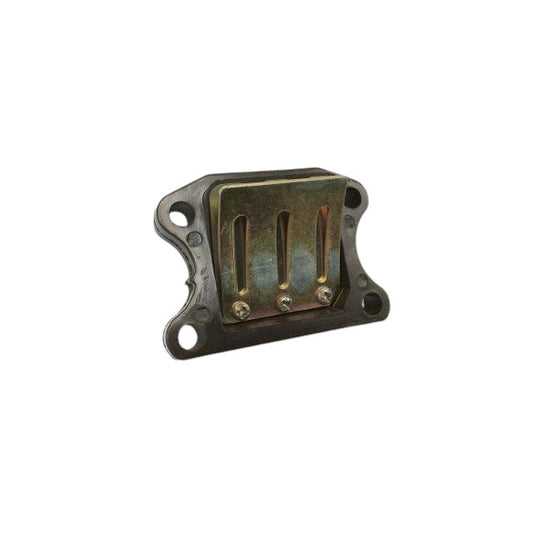 Caja de laminas Peugeot vertical Speedfight 2 / Trekker Allpro AP30RV10.177