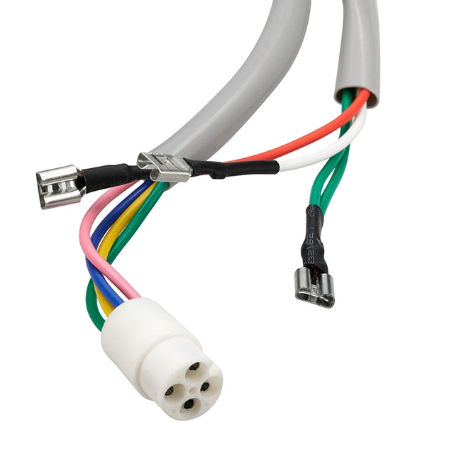 Stator encendido Piaggio scooter 50 modelos antiguos Allpro