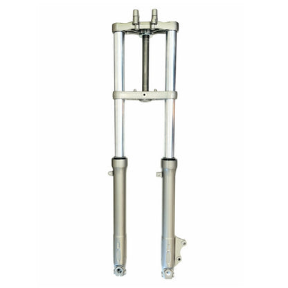 Complete front fork Rieju MRT 50-125 / Beta RR 50cc Allpro