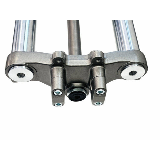 Complete front fork Rieju MRT 50-125 / Beta RR 50cc Allpro