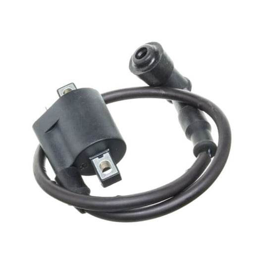 Bobine haute performance pour moteur Pitbike 190 Zongshen