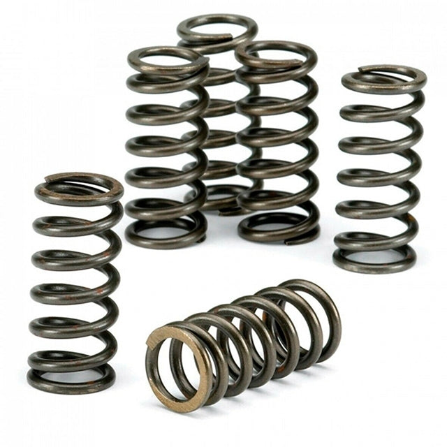Muelles de embrague reforzados KTM SX 65 09-18 EBC CSK021