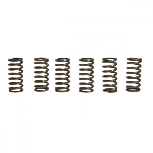 Muelles de embrague KTM EXC / SX 150/200 EBC CSK091