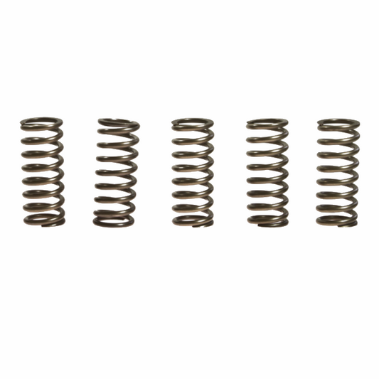 Muelles de embrague Honda CBR 600 R EBC CSK101