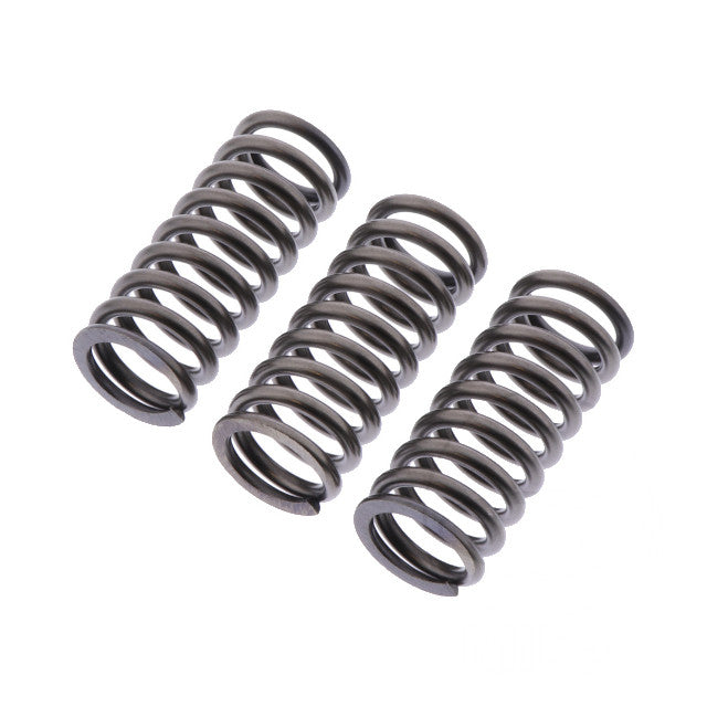 Muelles de embrague Yamaha YZF-R1 1000 EBC CSK218