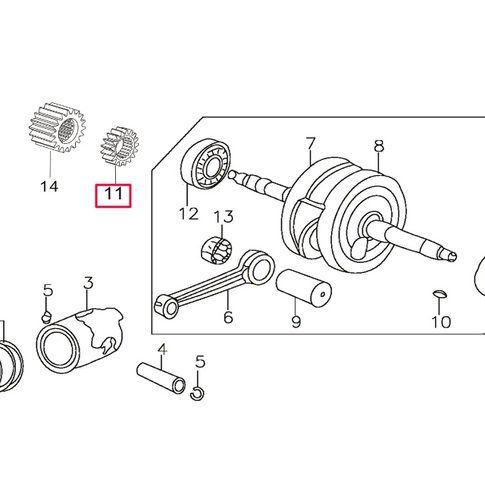 Piñón bomba aceite Pitbike motor 150-3 150-5 YX E13E023