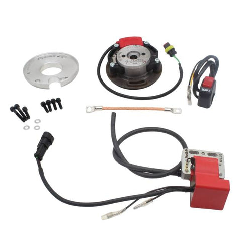 Encendido rotor interior Aprilia RS125 Rotax 123 Doble Curva Racing Italkit EV2.01.25