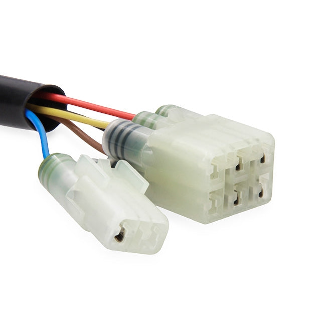 Cableado centralita BMW F800 GS 06-18 Rapid Bike Easy