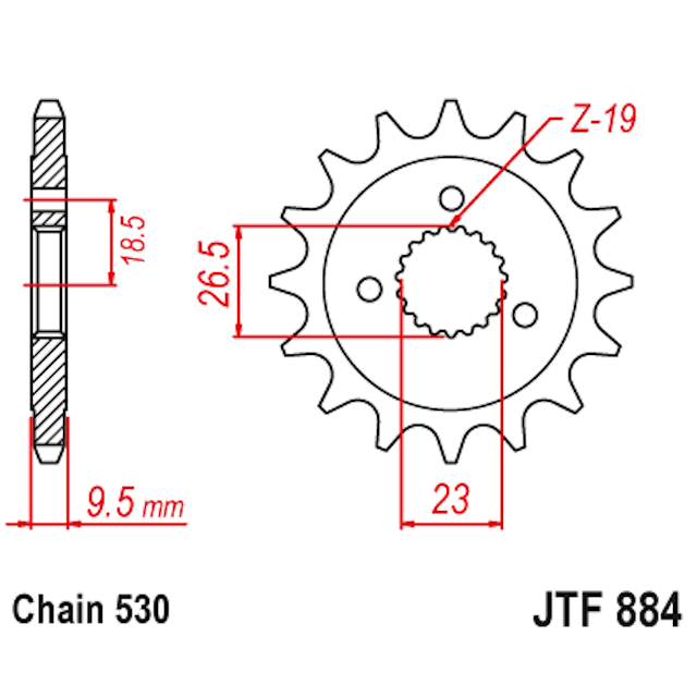 Piñon de Acero 21 Dientes JTF884 JT Sprockets JTF884.21
