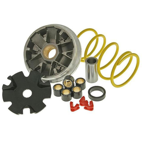 Variador Malossi Multivar PGO BigMax / T-Rex