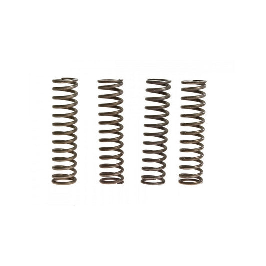 Muelles embrague reforzados Kawasaki Z750/Z800 TRW MEF146-4