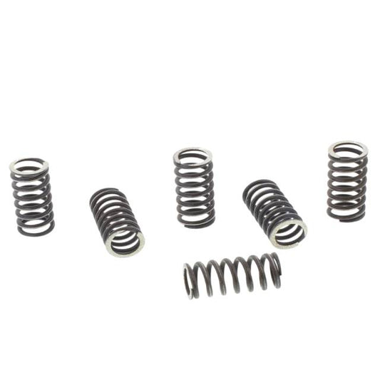 Juego muelles de embrague KTM / Suzuki / Yamaha TRW MEF158-6