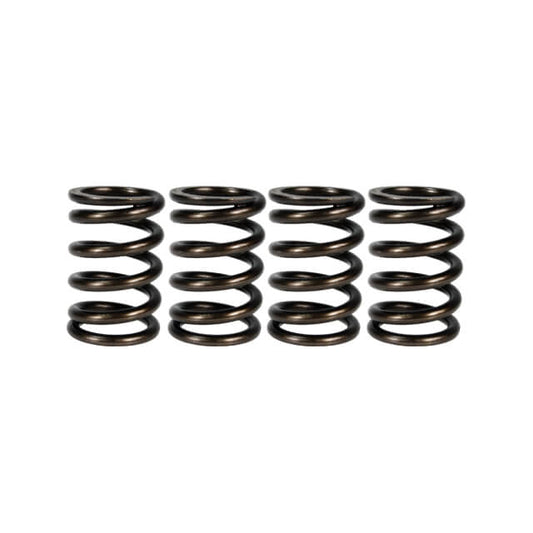Reinforced Daytona Pitbike Clutch Springs