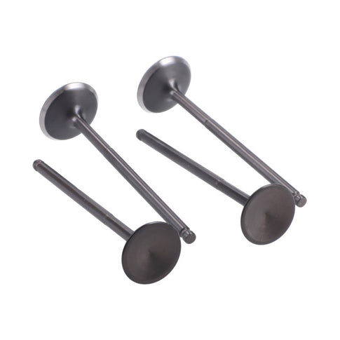 Kit valves Beta RR / Fantic Enduro / Rieju Marathon / Yamaha X-Max 125 >2006 Naraku
