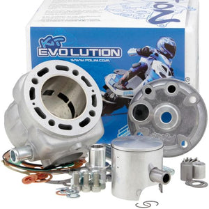 Cilindro Polini Big Evolution 94cc Minarelli horizontal LC 166.0111