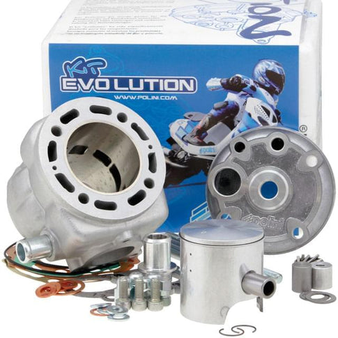 Cilindro Polini Big Evolution 94cc Minarelli horizontal LC 166.0111