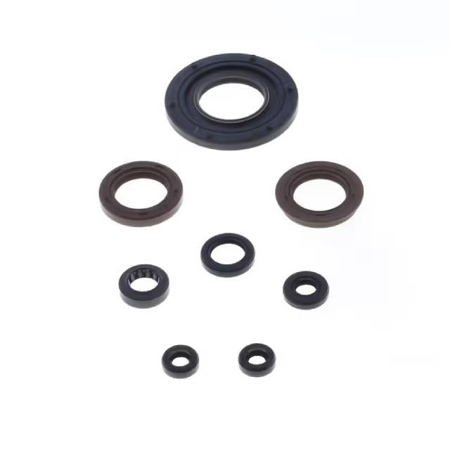 Engine seal kit Aprilia RS 250 95-01 / Suzuki RGV 250 89-96 Athena