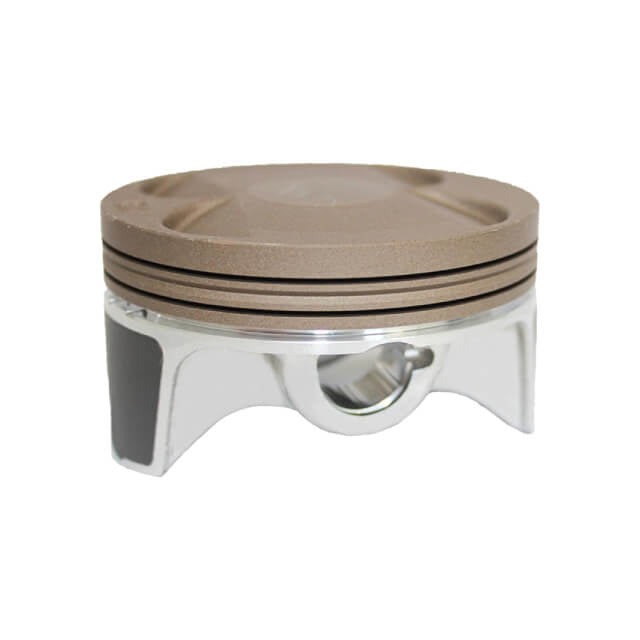 Pistón Ø66mm motor Daytona Anima serie S 80316